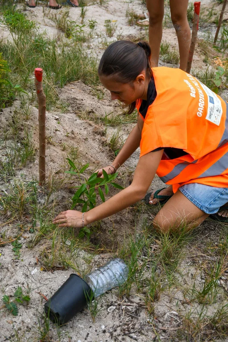 Une bénévole plante un jeune arbre dans le sable