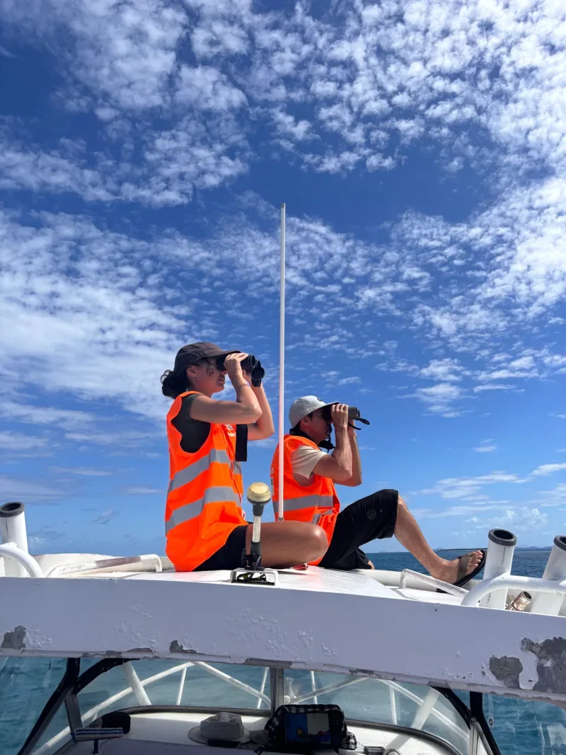 Deux bénévoles observent la biodiversité avec des jumelles depuis un bateau